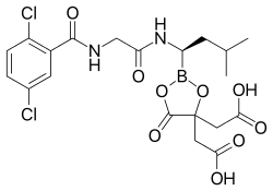 Ixazomib citrate—a prodrug for ixazomib