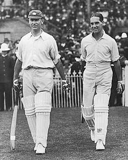 Two cricketers walking onto the field holding bats