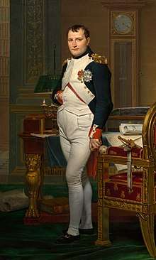 Emperor Napoleon I wanted to crush Mack's army before the Russians or Archduke Charles could intervene.
