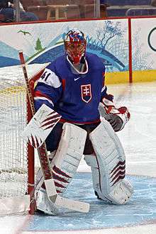 An ice hockey goaltender is standing in front of his net. He is wearing a blue hockey jersey with the Slovakian crest on the front, and white goalie pads.