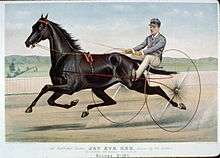 horse racing with "sulky" rig