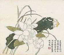 Scan of page from book depicting lotus flowers drawing