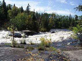 A river sparkling in the sun flows over rocks churning into whitewater. Thick forest grows down close to the water.