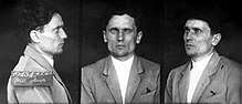 a series of three black and white head and shoulders photographs