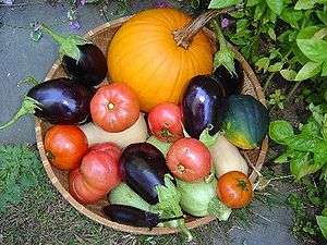 Bucket with eggplants, tomatoes, and pumpkin