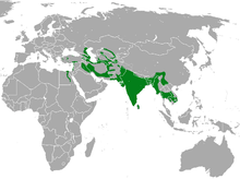 Map of the Eastern Hemisphere showing highlighted range covering portions of southern Asia