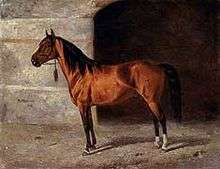 Painting of a bay stallion
