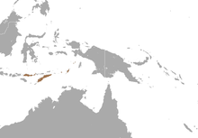 Maluku, the Kai Islands, Tanimbar, and the Babar island groups