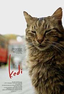 A cat looking at the viewer with its eyelids nearly shut, looking sleepy. The title "kedi" is shown to its right in red.