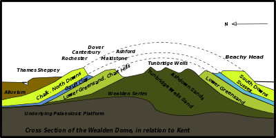 Cross-sectional diagram of eroded layers of the Wealden Dome, indicating locations of several towns