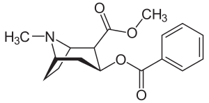 Cocaine, a precursor for anatoxin-a synthesis.