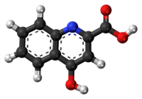 Ball-and-stick model of kynurenic acid