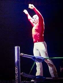 picture of masked wrestler La Máscara posing on the ring ropes prior to a match.