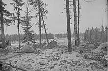 A ground-level photo at Kollaa, with trees in the foreground, a snowy field in-between and dense forests as well as a Soviet tank in the distance.