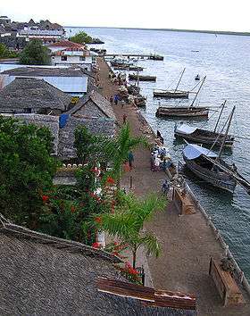 An aerial view of a path (that doubles as a wharf) along the coast of a large body of water.
