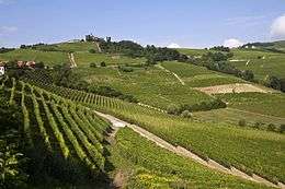 Hilly area with vineyards.