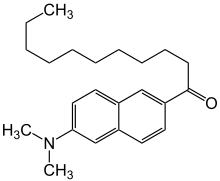 Laurdan chain structure