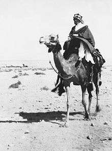 Black and white photo of a man on a camel