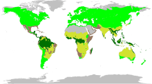 The biomes occupied by Fabaceae