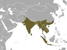 Indian subcontinent, Indochina excluding the Malay peninsula, Sumatra, and Java