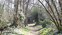 Lesnes Abbey Woods