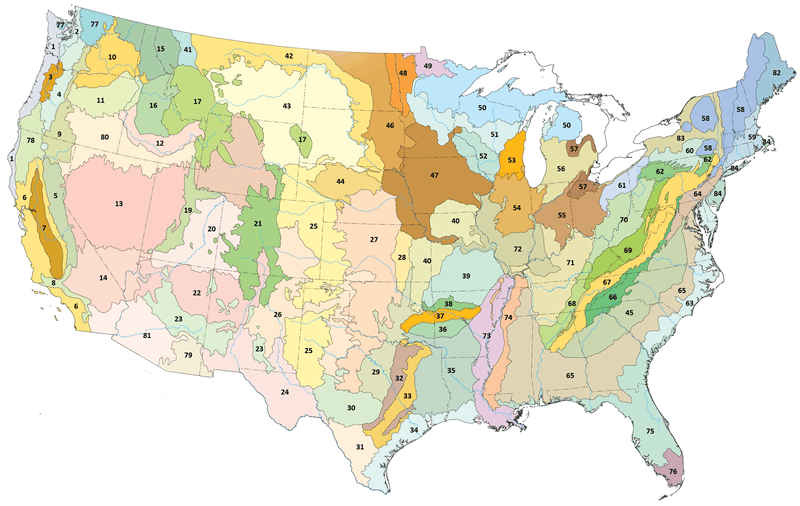 Map of Level III ecoregions in the United States