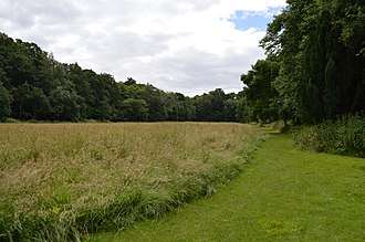 Colour photograph of Lexden Path in 2016 showing trees and long grass