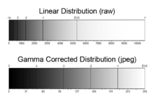 Comparison of linear and gamma-corrected tonal ranges, showing how each stop is recorded.