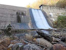 A photograph of concrete dam. The dam appears to have been poured in blocks, so the face is rectangular splotches with some blocks different colors than the others. Oozing water and algae highlight the cracks between the blocks. A thin river of white water cascades down the spillway into a pond at the foot of the dam. A valve at the foot of the dam looks like a pagoda. Rocks and debris are accumulated in the foreground. An autumnal hill rises above the reservoir in the background.