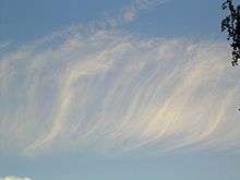 Cirrus fibratus clouds pictured against the sky