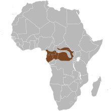 Map of Africa showing highlighted range (in brown) covering a portion of western Central Africa