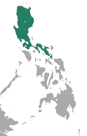 Luzon in the Philippines