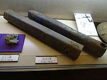 Color photograph of two rusty tubes in a museum case