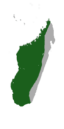 Madagascar excluding the eastern coast