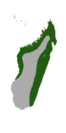 Coast of Madagascar excluding the southwest coast