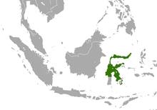Sulawesi excluding southwest Sulawesi