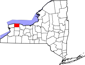 A map of New York showing county lines. A county in the northwest corner of the state along the Lake Ontario shoreline is highlighted in red.