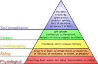 Pyramid diagram illustrating Maslow's theory of needs