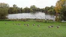 Mayesbrook Park lake