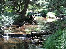 A small stream flows through dappled sunlight between grassy banks and trees