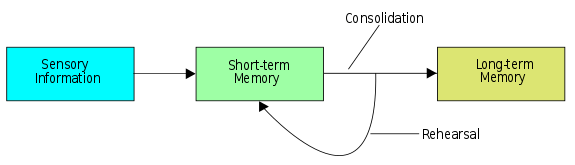 position of consolidation to the information-to-memory process
