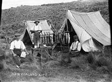 Three men at their camp site displaying a catch of rabbits and fish. A marginal note reads "New Zealand Life".