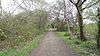 Merton Park Green Walks