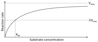 A two dimensional plot of substrate concentration (x axis) vs. reaction rate (y axis). The shape of the curve is hyperbolic. The rate of the reaction is zero at zero concentration of substrate and the rate asymptotically reaches a maximum at high substrate concentration.