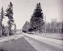 "A black and white photo of a rural area. A divided road (divided by a grass centre with trees) is paved and runs from the right into the background, with several cars visible in the distance. Several tall conifers dominate the foreground."