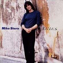 Mike Stern Voices cover