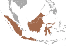 Sumatra, Java, Sulawesi, and Borneo