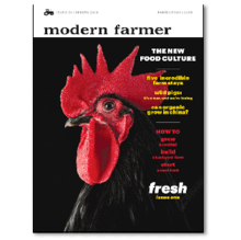 Cover of issue 01