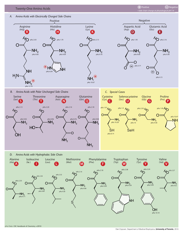 Table of amino acids