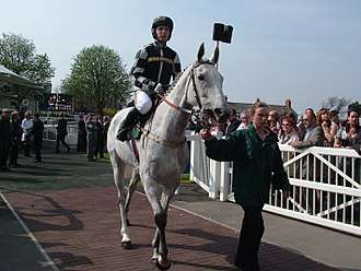 With Tony Dobbin aboard, leaving the parade ring at Aintree prior to his Melling Chase victory in April 2007.